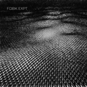 FDBK EXPT feat. Alexei Borisov: