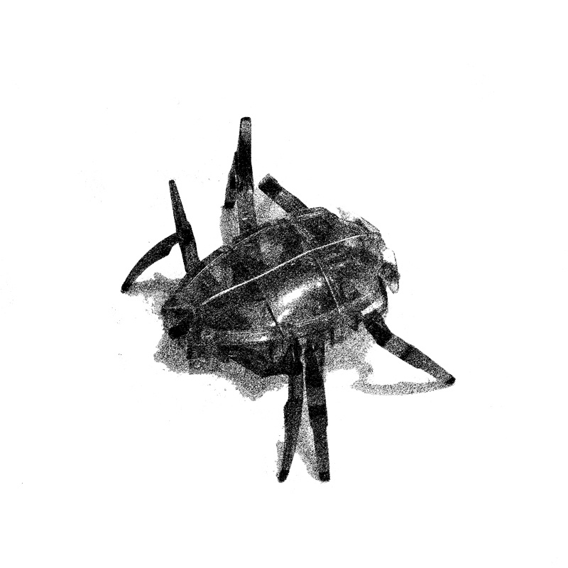 Kriton's hexbug scarab
